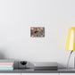 The Market Place Canvas Gallery Wraps
